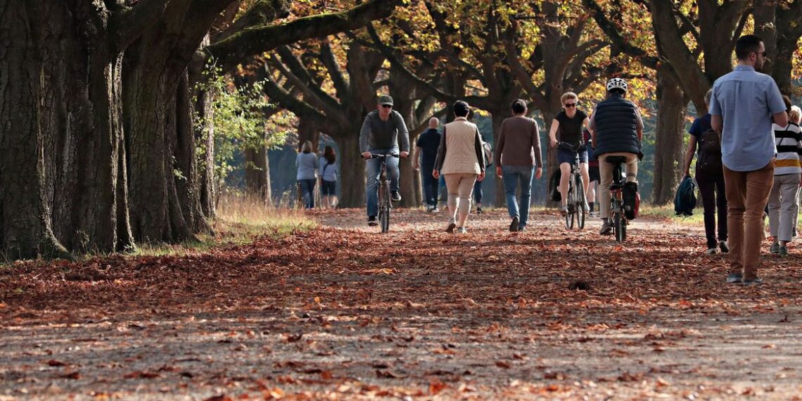 CHEGADA OUTONO - Outono começou no Hemisfério Sul no últino domingo, 20 de março. Foto: Pixabay/Domínio Público