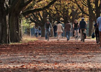 CHEGADA OUTONO - Outono começou no Hemisfério Sul no últino domingo, 20 de março. Foto: Pixabay/Domínio Público