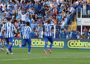 Foto: Frederico Tadeu da Silva / Avaí F.C.