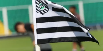 Foto: Figueirense.