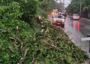 Foto: Prefeitura de São José.