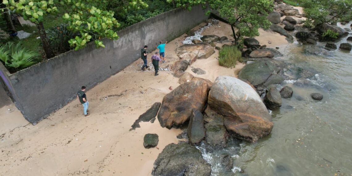 Fotos: Divulgação / IMA