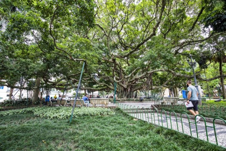 Foto: UFSC / Divulgação.