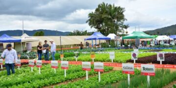 Fotos: Divulgação / Epagri