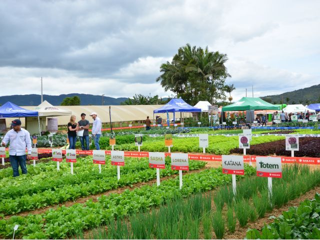 Fotos: Divulgação / Epagri