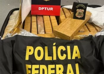 Foto: Polícia Civil/Divulgação