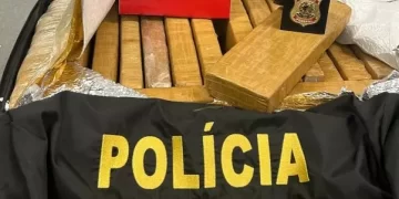 Foto: Polícia Civil/Divulgação