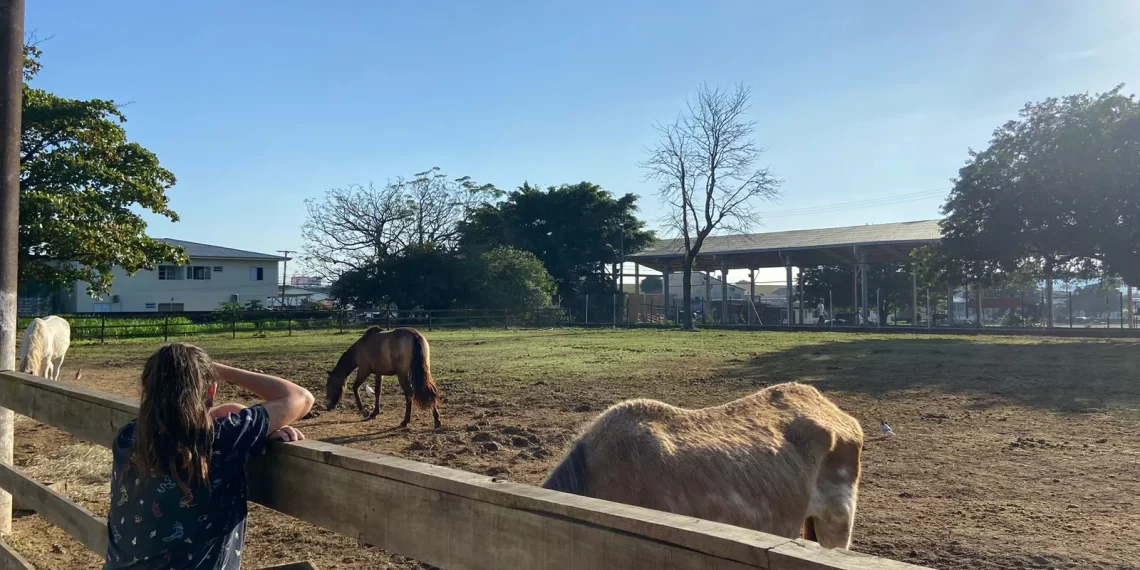 Foto: Prefeitura de São José.