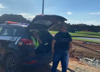 Foto: Polícia Civil/Divulgação