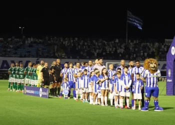 Foto: Frederico Tadeu e Fabiano Rateke  / Avaí F.C.