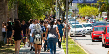 Foto: Divulgação / UFSC.