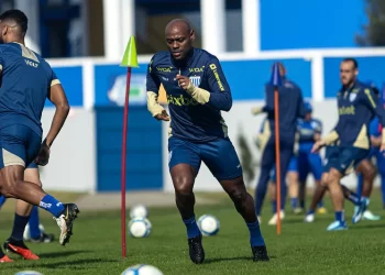 Foto: Leandro Boeira/Avaí F. C.