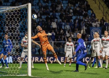 Foto: Frederico Tadeu / Avaí F.C.