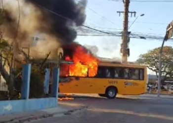 Foto: Reprodução / redes sociais.