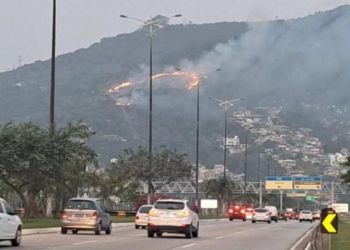 Foto: Divulgação.