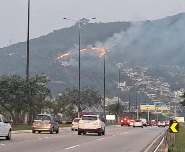 Foto: Divulgação.