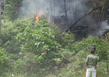 Foto: Divulgação. - CBMSC.