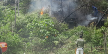 Foto: Divulgação. - CBMSC.