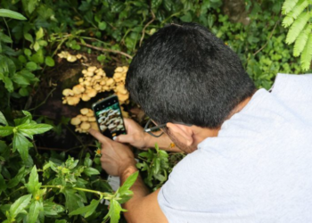 Foto: Ariéll Cristovão-Agecom-UFSC.