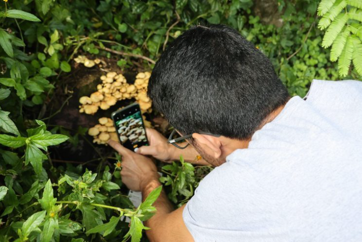 Foto: Ariéll Cristovão-Agecom-UFSC.