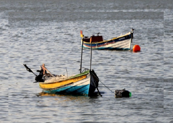 Foto: Reprodução-Cristina Gallo-Baleeiras da Ilha.