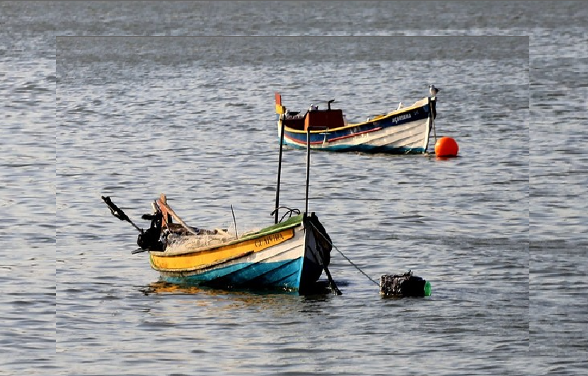 Foto: Reprodução-Cristina Gallo-Baleeiras da Ilha.