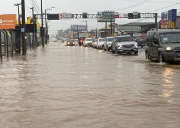 Foto: PMRv - Divulgação.