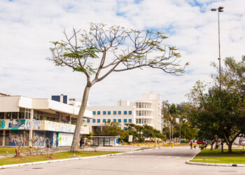 Foto: Divulgação - UFSC.