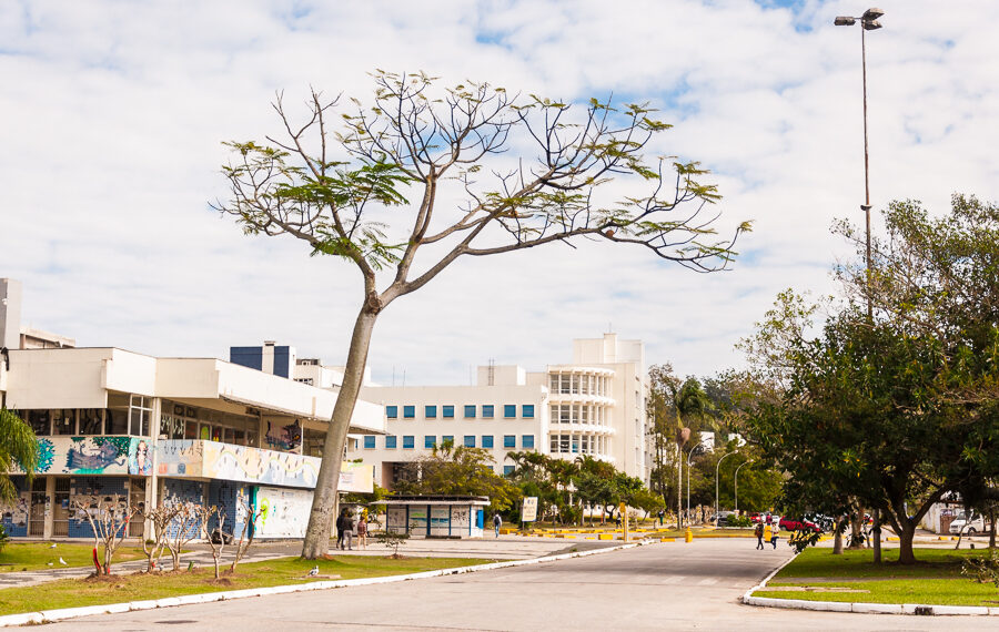 Foto: Divulgação - UFSC.